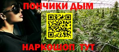 крисы Гусиноозёрск
