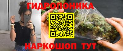 крисы Гусиноозёрск