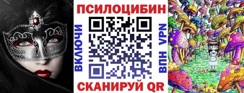 где можно купить наркотик  Коммунар  Псилоцибиновые грибы Magic Shrooms 