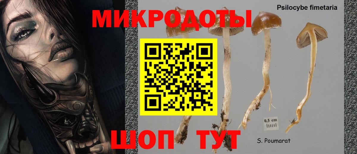 Псилоцибиновые грибы Magic Shrooms Коммунар